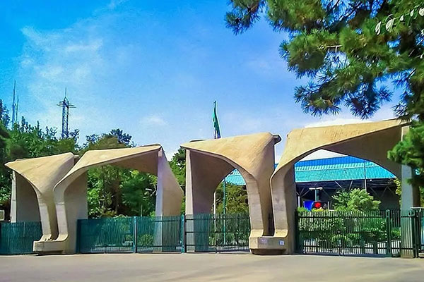 دانشگاه تهران